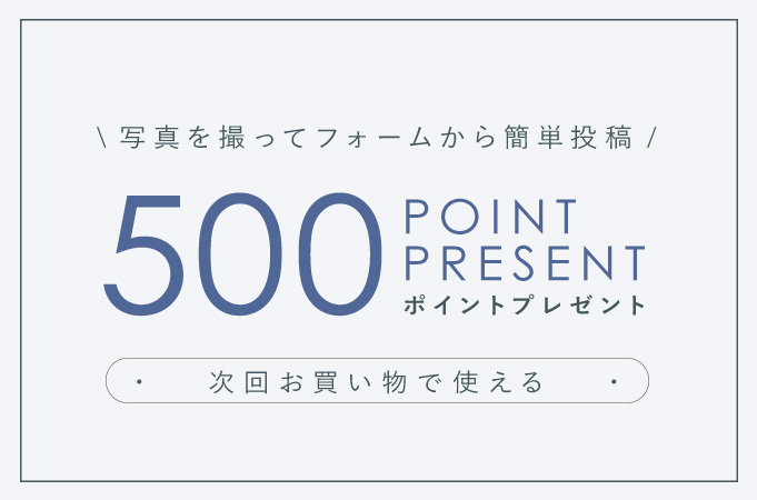 500ポイントプレゼント！
