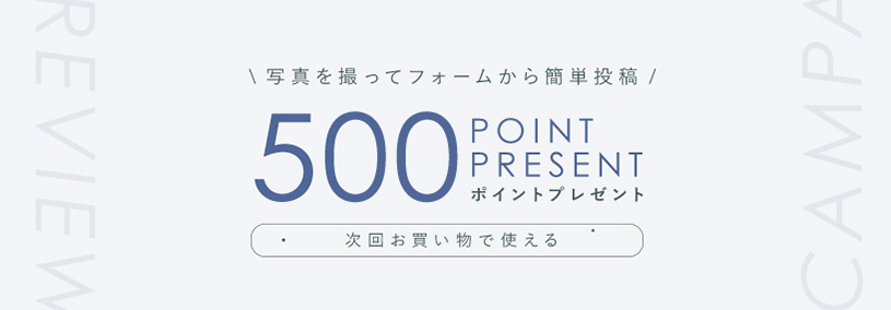 500ポイントプレゼント！