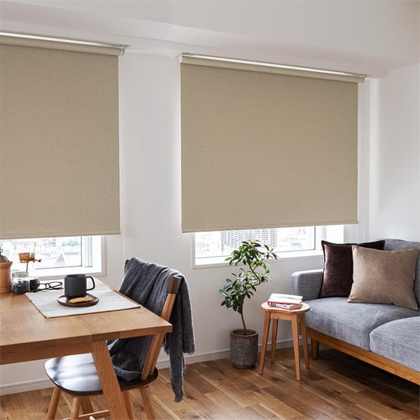 遮光ロールスクリーン「ディアリオ遮光」をかけた2つの並んだ窓