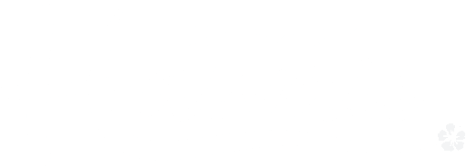 ハワイカテゴリ