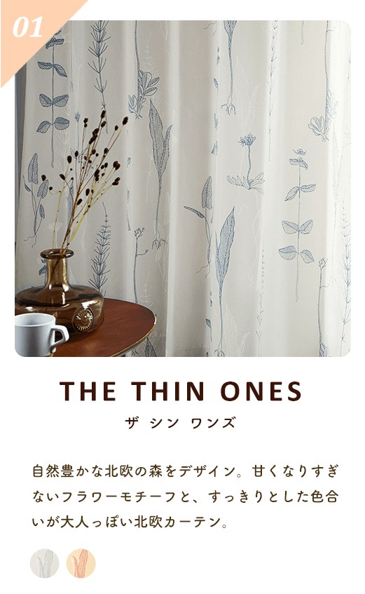 ～ザ　シン　ワンズ～