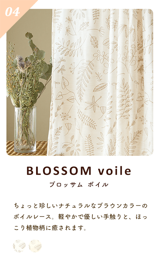 ～ブロッサムボイル～