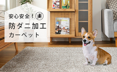 防ダニ加工カーペット