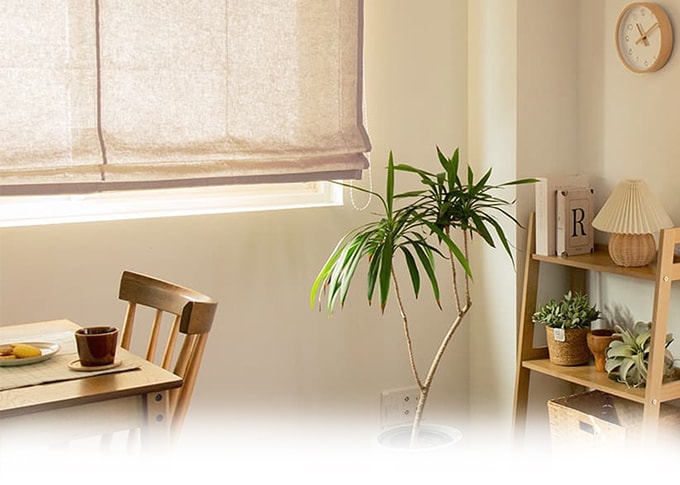 非遮光 シェードカーテン