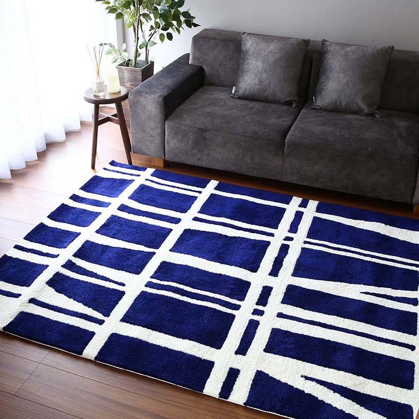 フィンレイソン コロナ