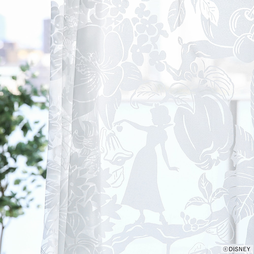 ハイホーボイル