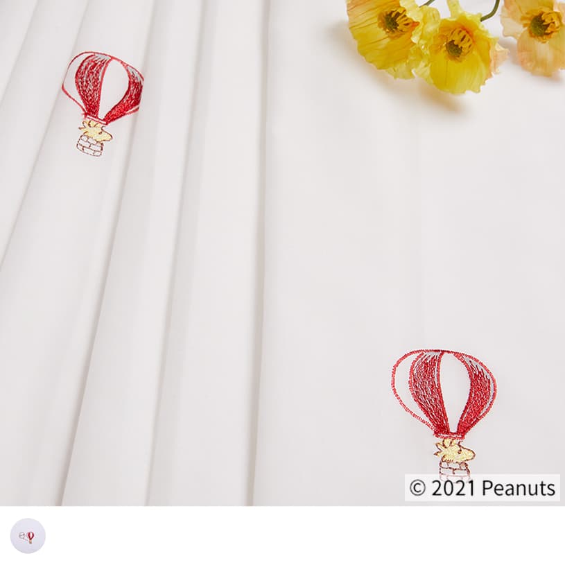 バルーントリップ