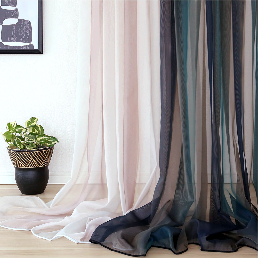 ハイセンスレース