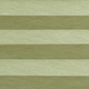 アッシュグリーン(fw_0773)