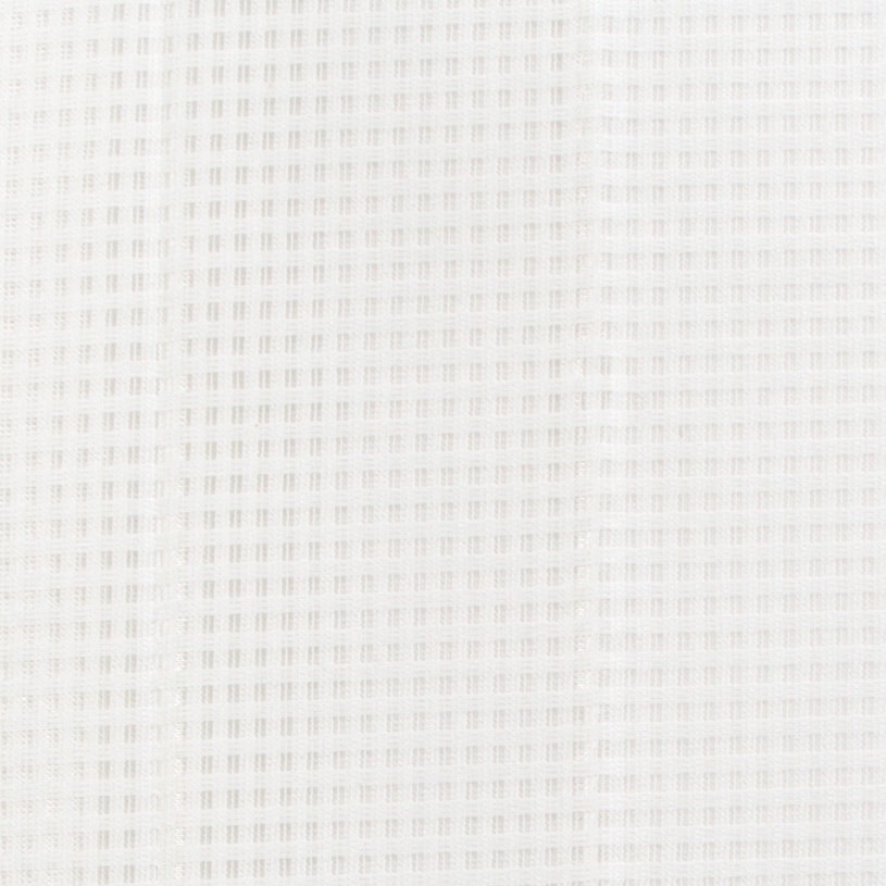 アイボリー(psr_9016)