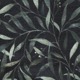 ブラック(2級遮光)(ns_0446)