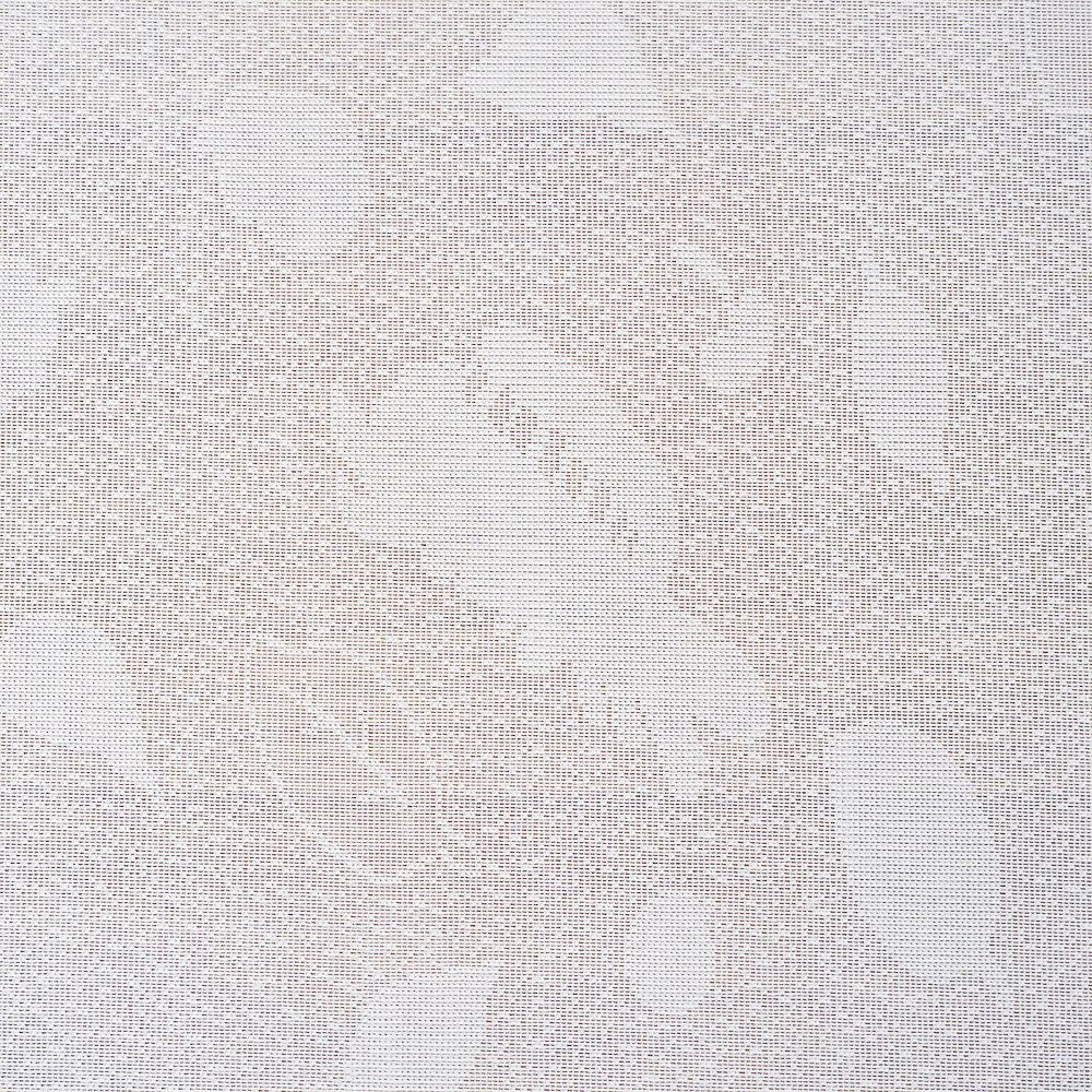 ねこばすにのって