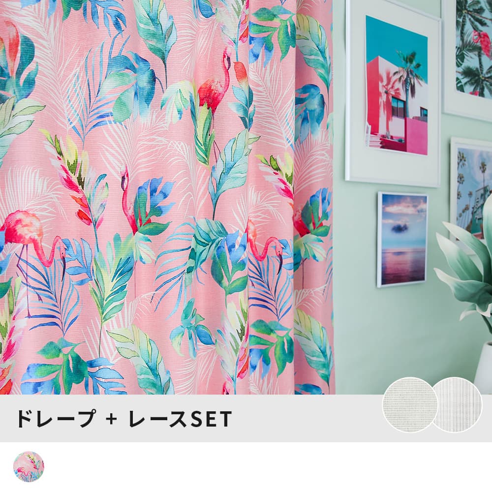フラミンゴ