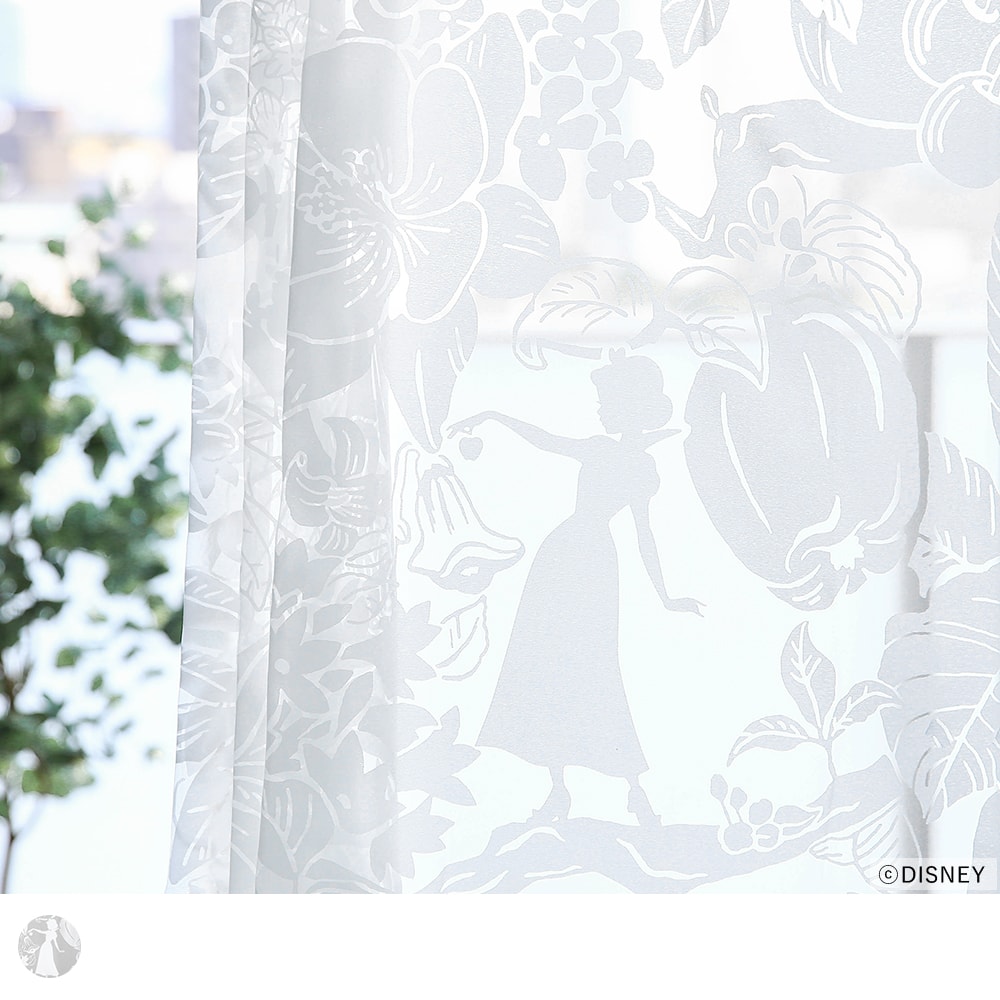 ハイホーボイル