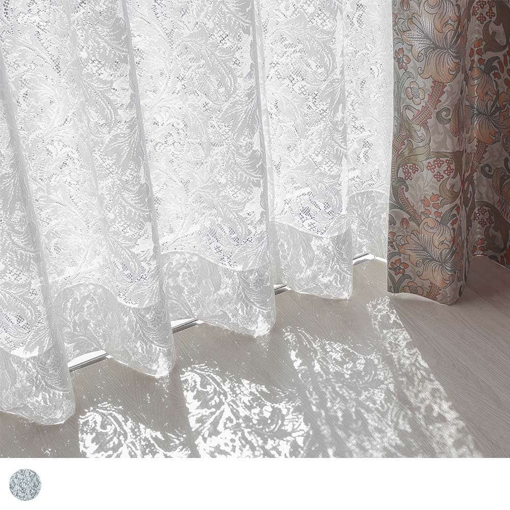 レスターアカンサスレース