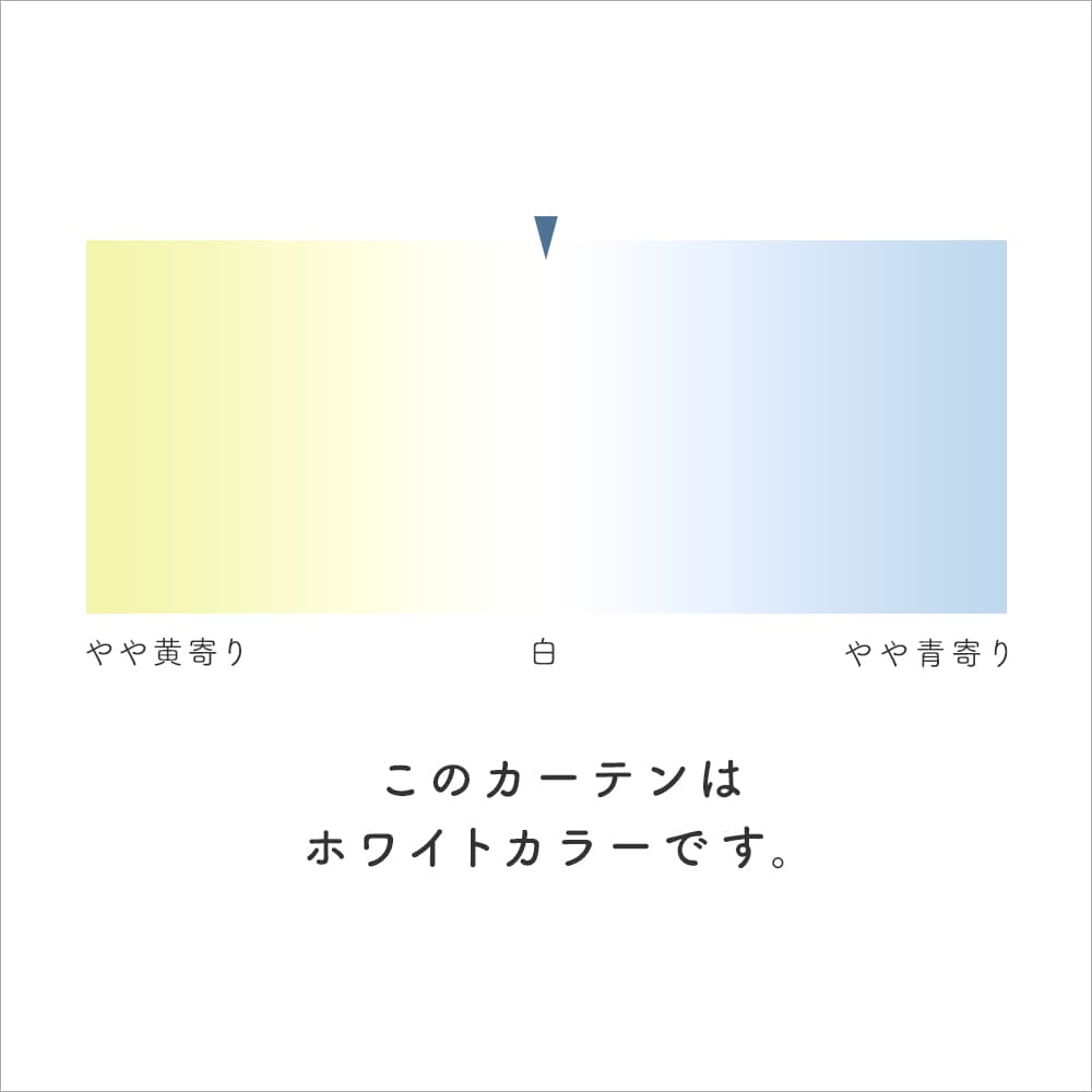 レスターアカンサスレース