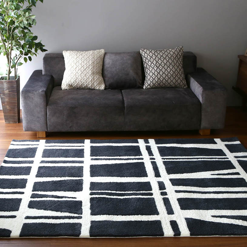 フィンレイソン コロナ02