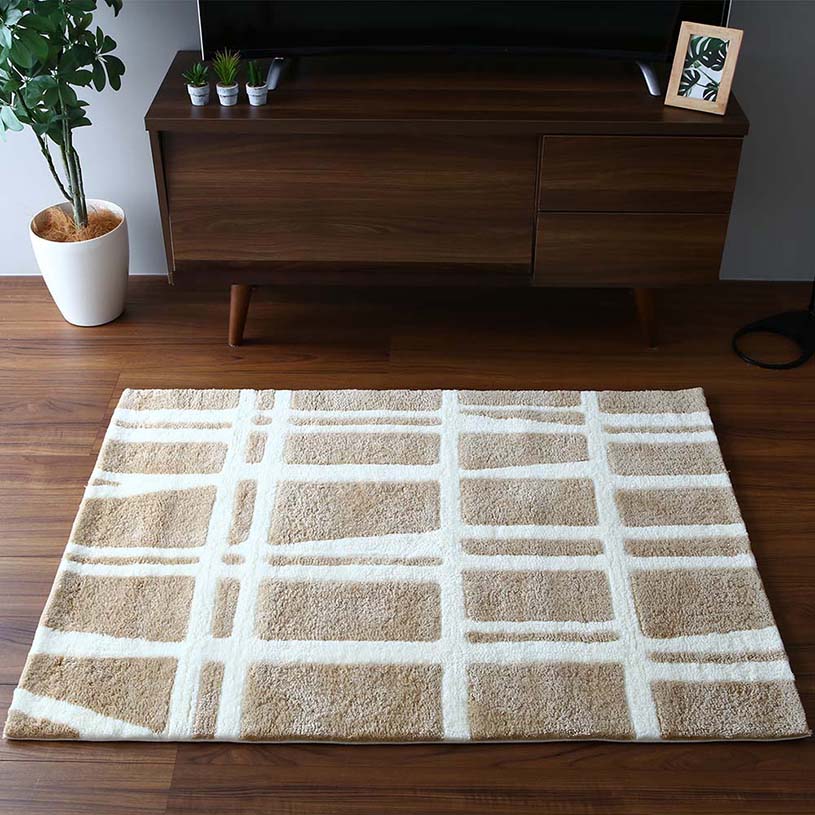 フィンレイソン コロナ04