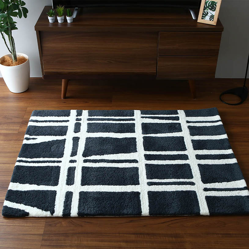 フィンレイソン コロナ05