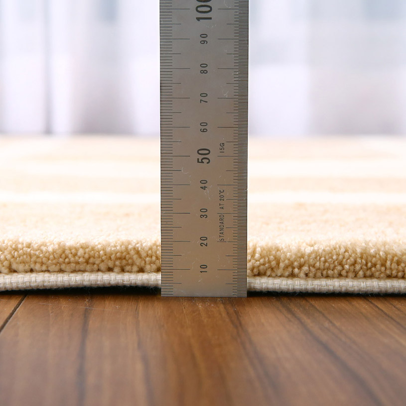 フィンレイソン コロナ08