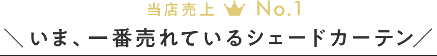 今一番売れているシェードカーテン