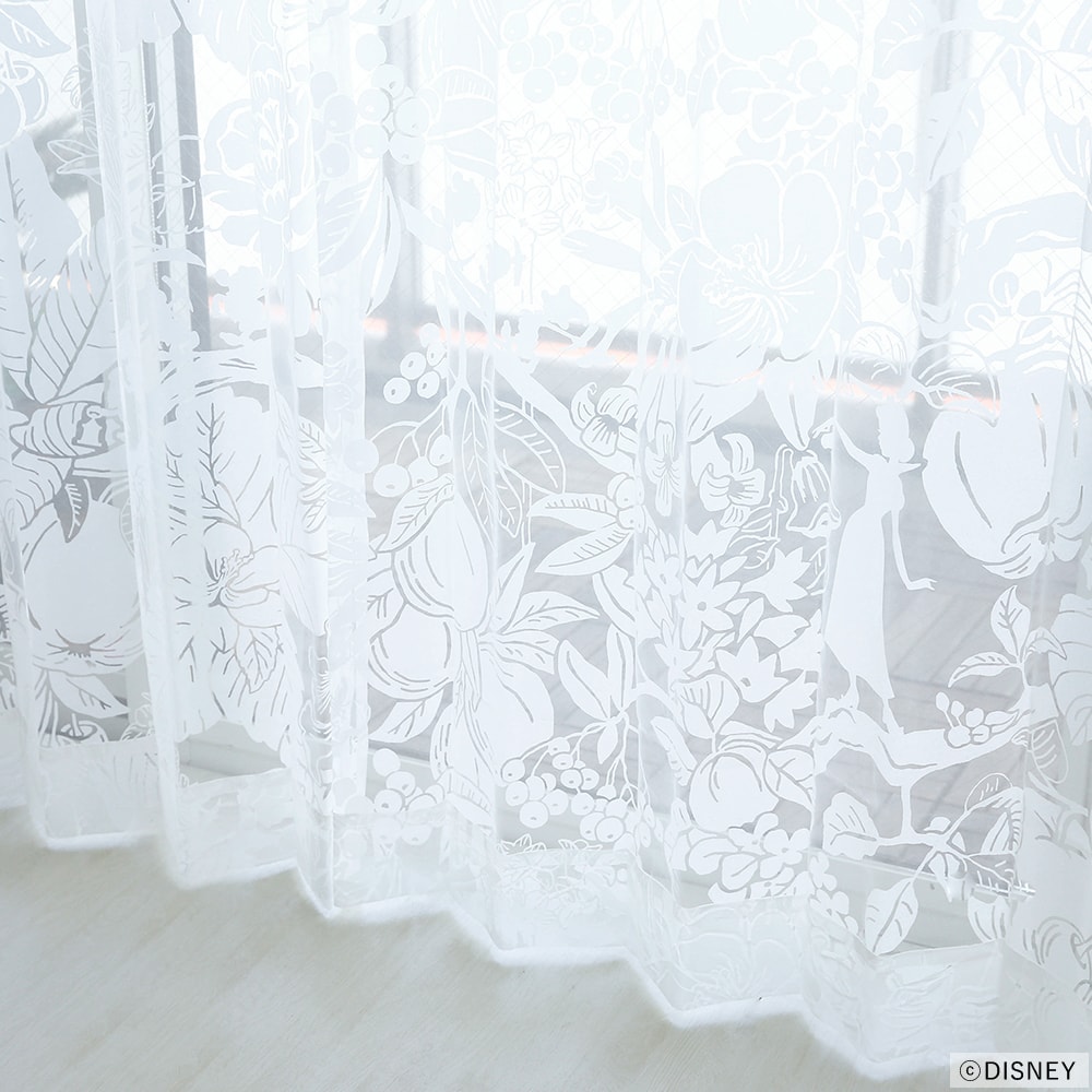 ハイホーボイル