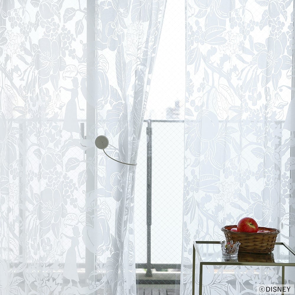 ハイホーボイル