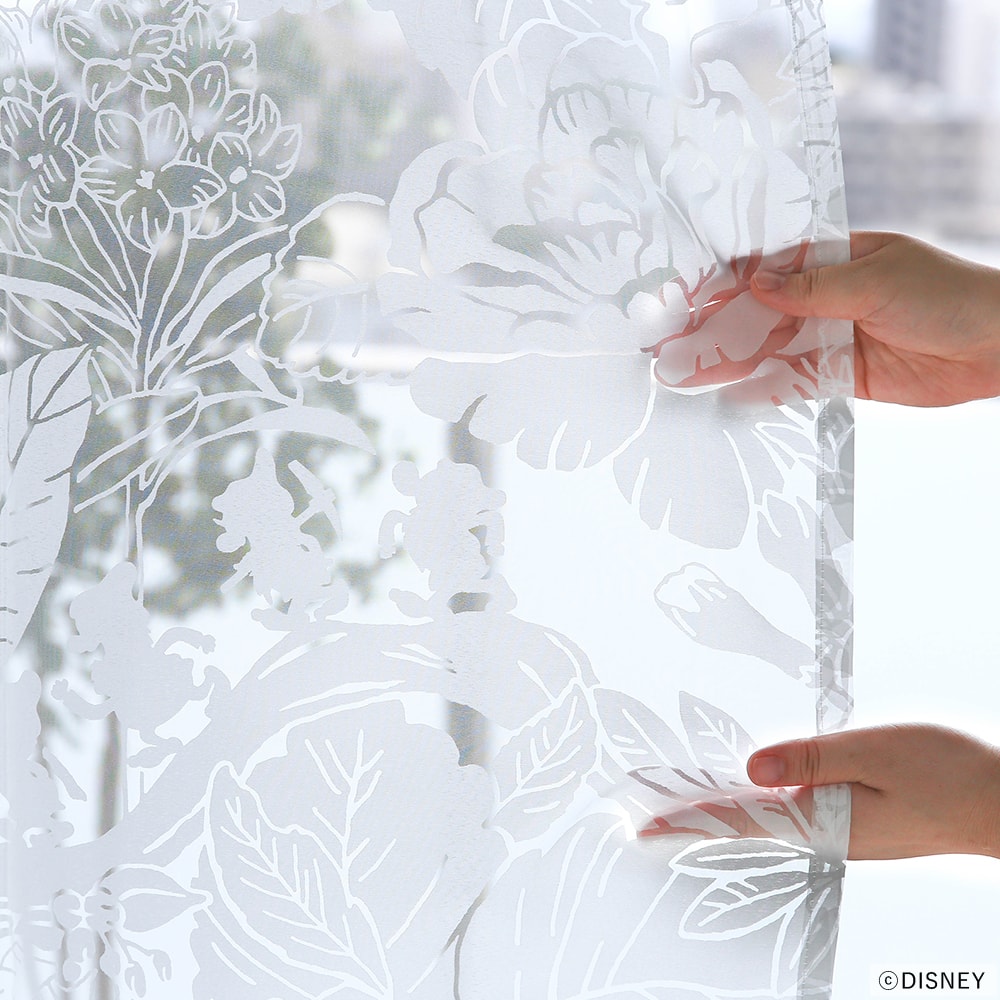 ハイホーボイル