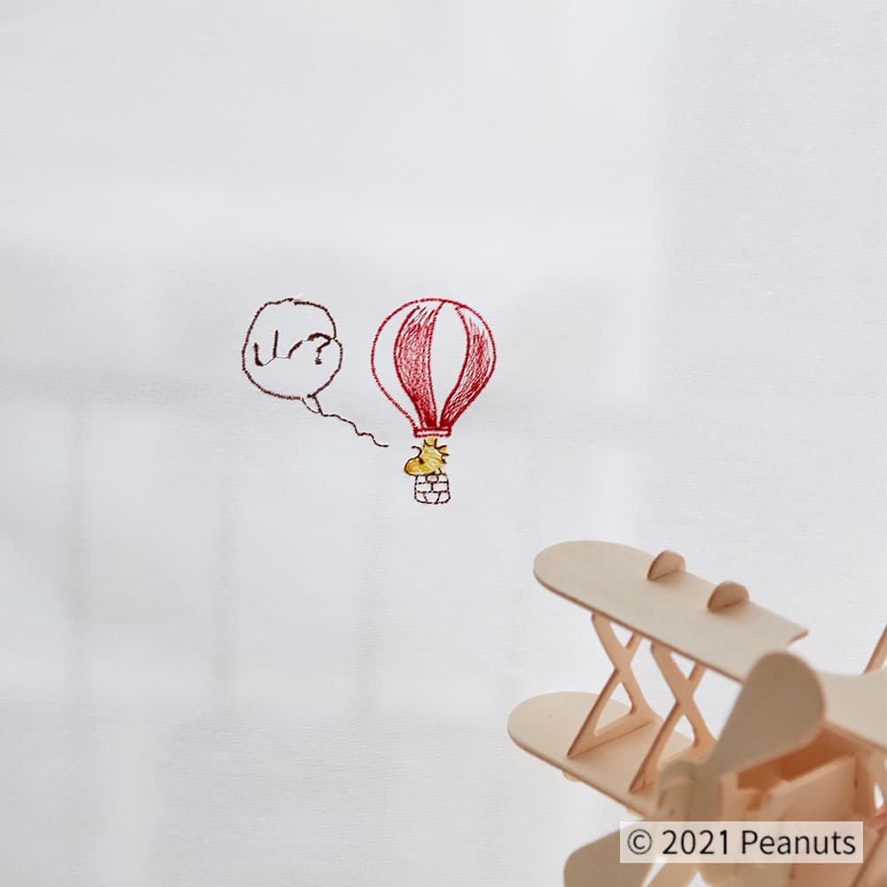 バルーントリップ