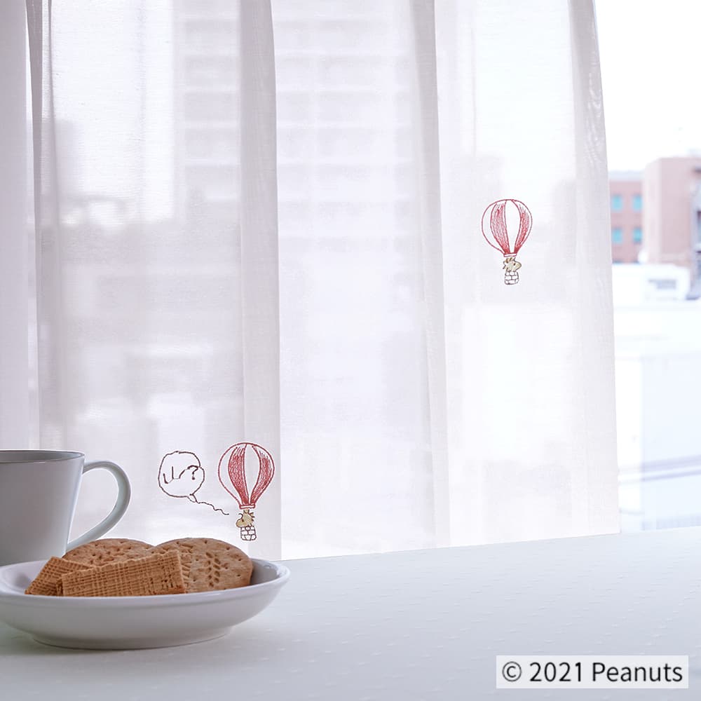 バルーントリップ