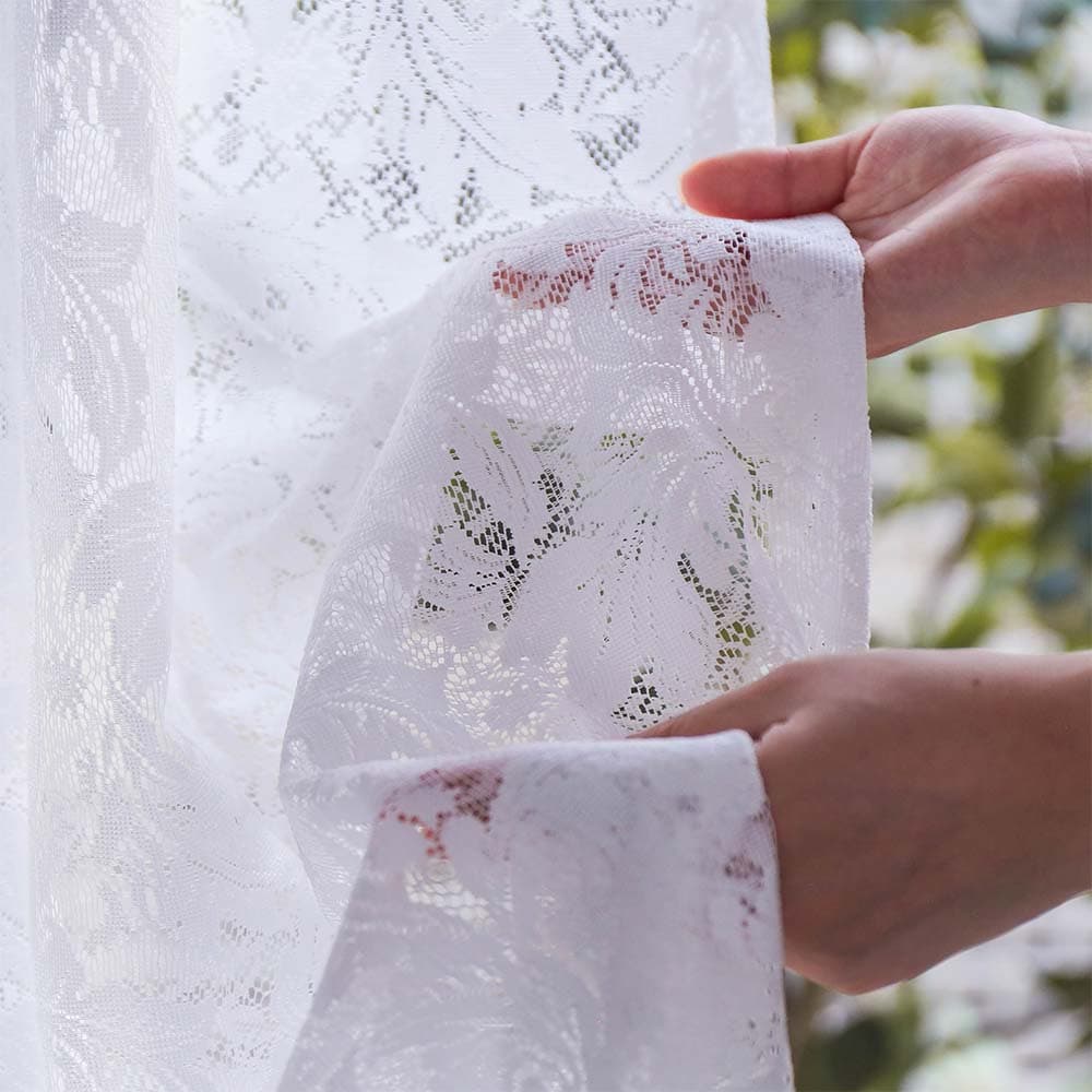 レスターアカンサスレース