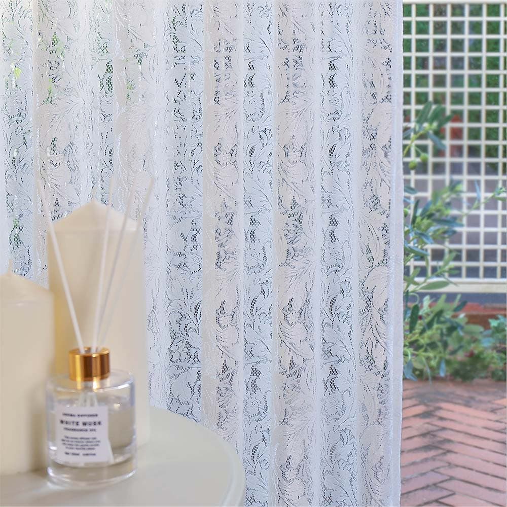 レスターアカンサスレース