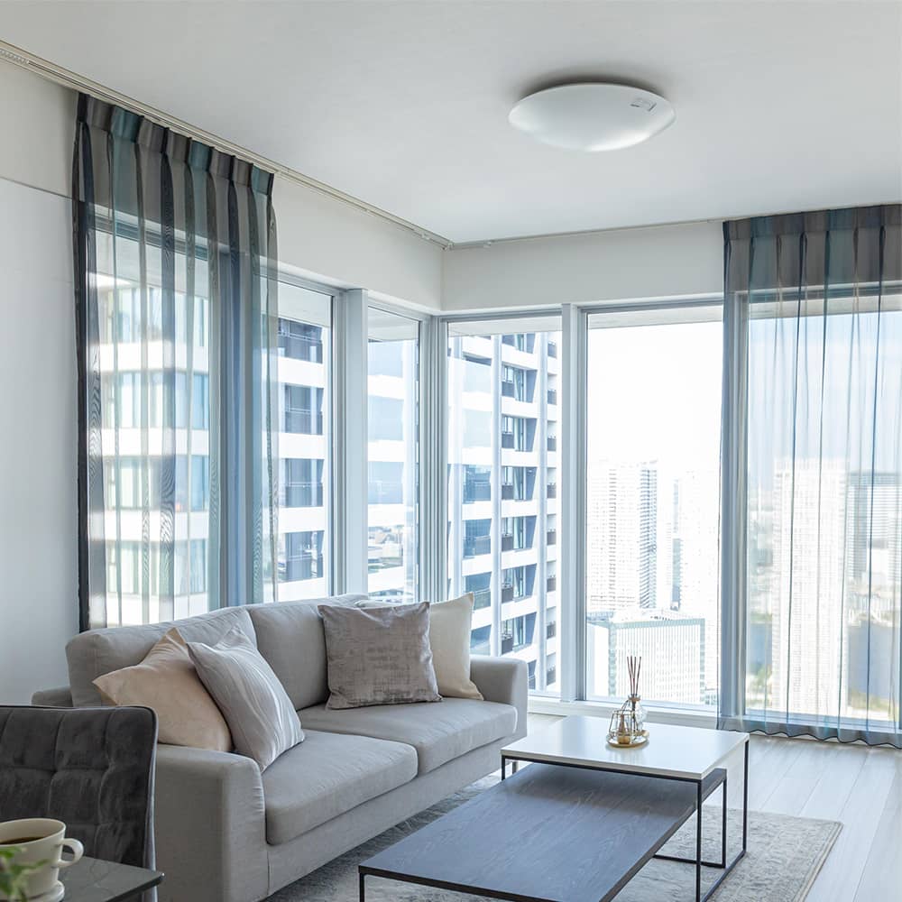 イリデッセント 商品画像08