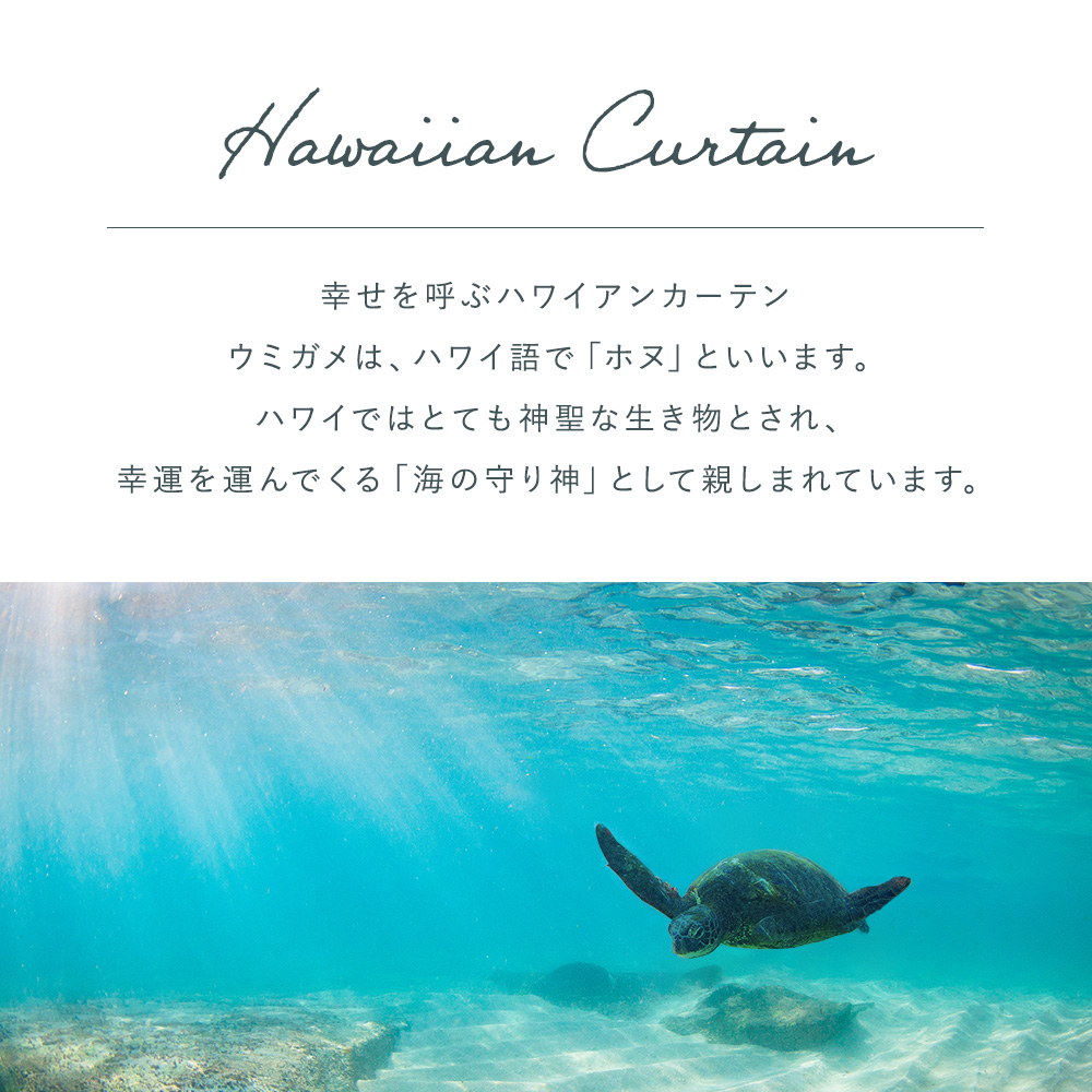 ホヌ ロールスクリーン 商品画像03