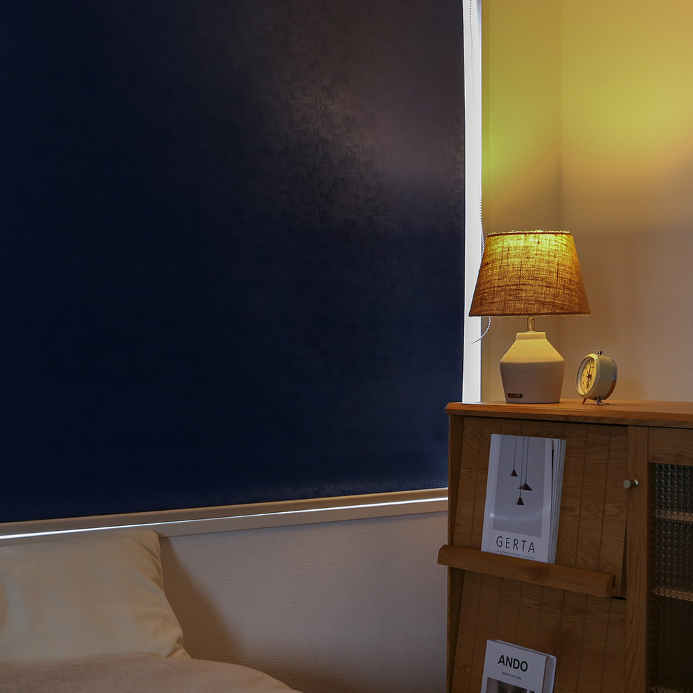 昼、室内の様子