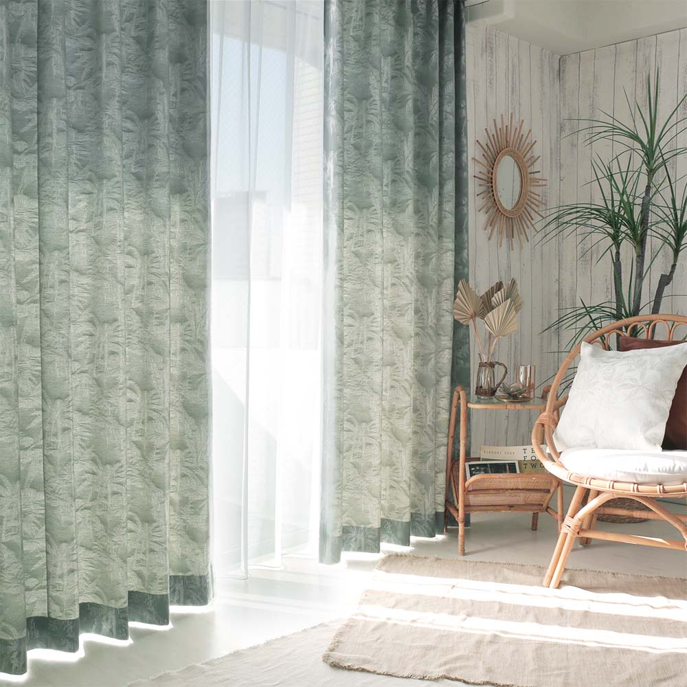 ヤシ 商品画像02