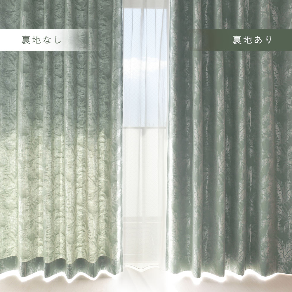 ヤシ 商品画像06