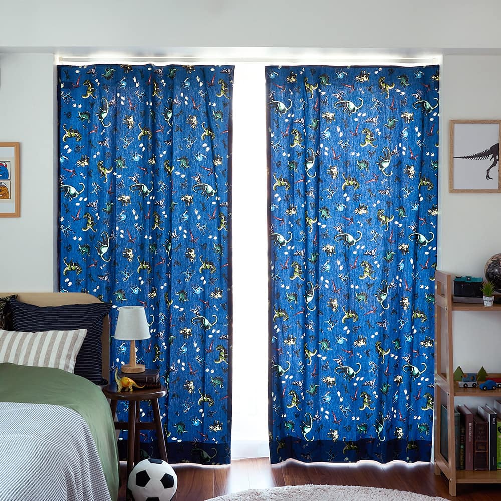 レックス 商品画像01