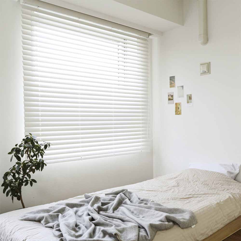 スタンダード ベネウッド50 商品画像07