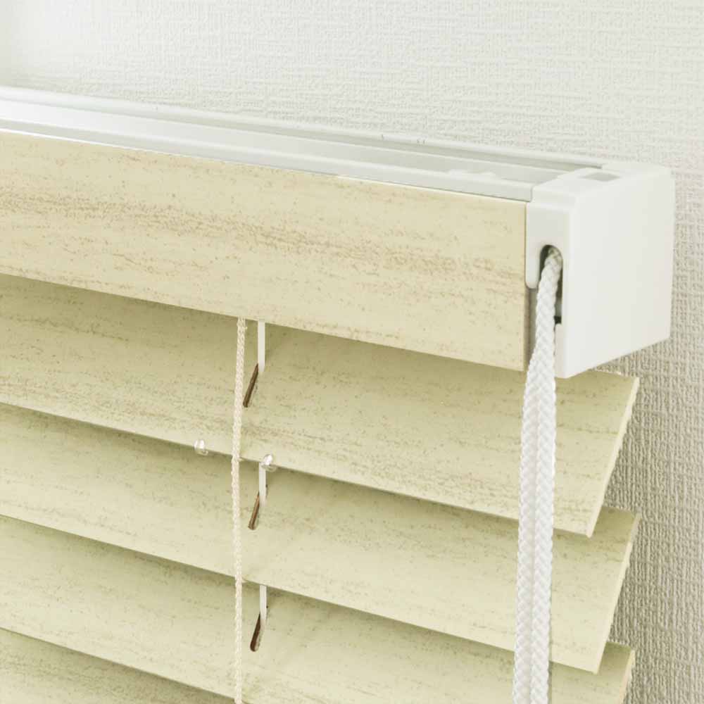 スタンダード ベネウッド50 商品画像08