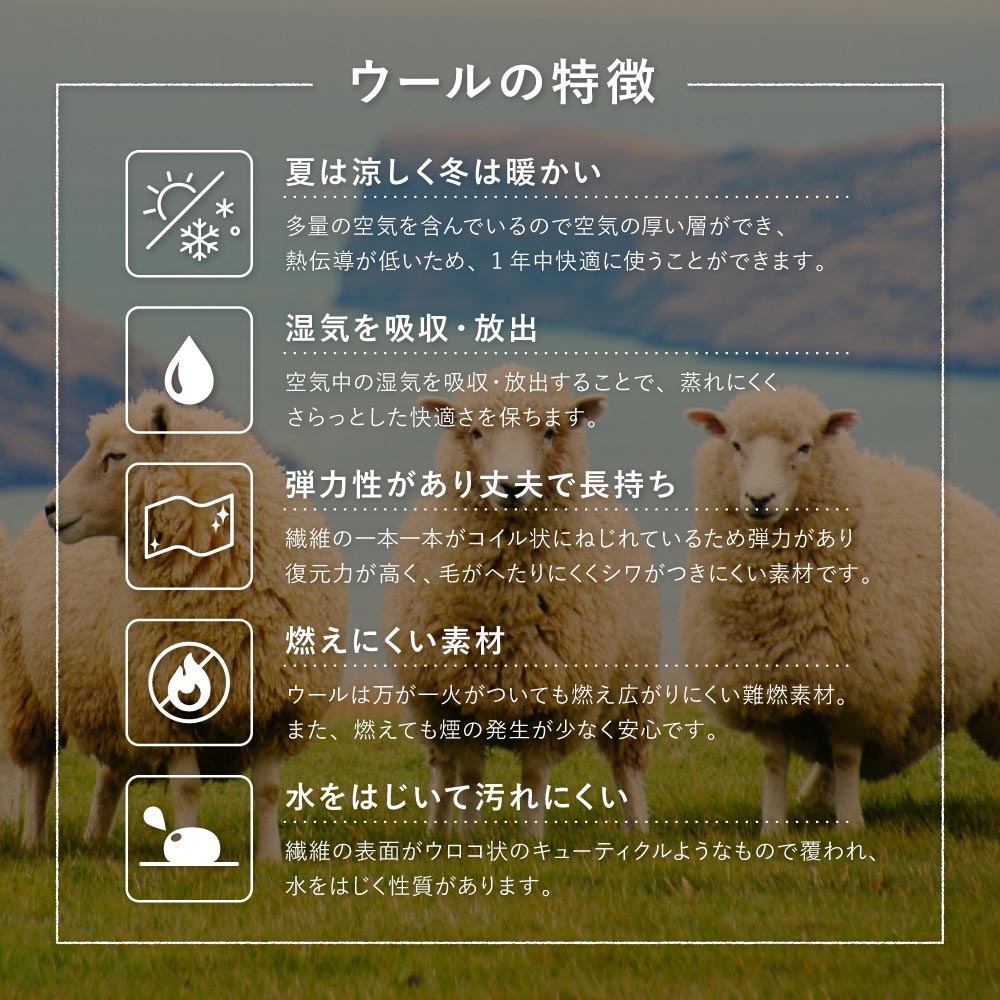 ドット チェアパッド 商品画像06