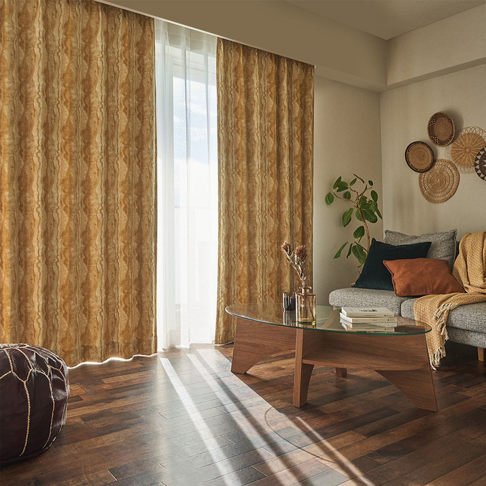 バオバブ 商品画像01