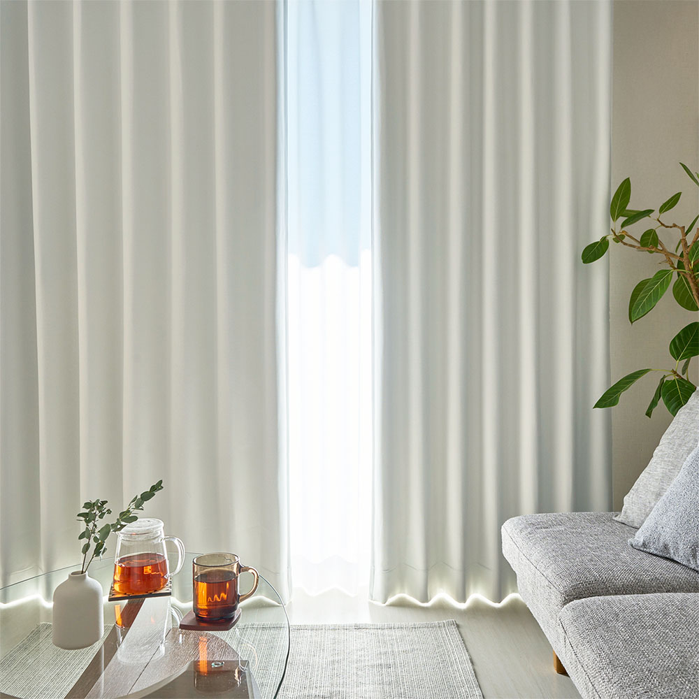 シュガー 商品画像01