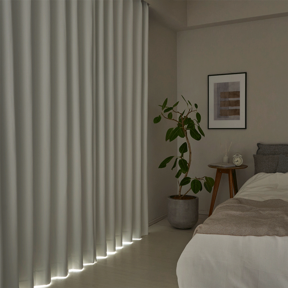 シュガー 商品画像03