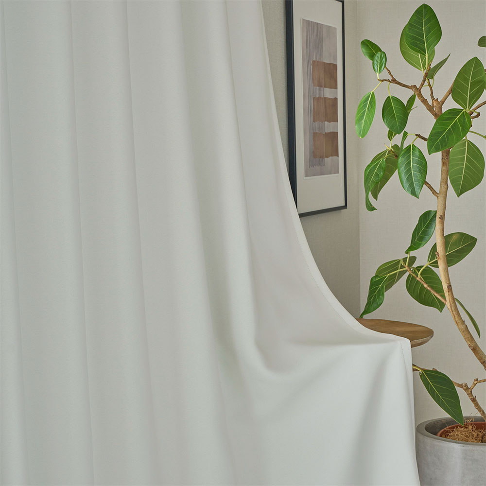 シュガー 商品画像06