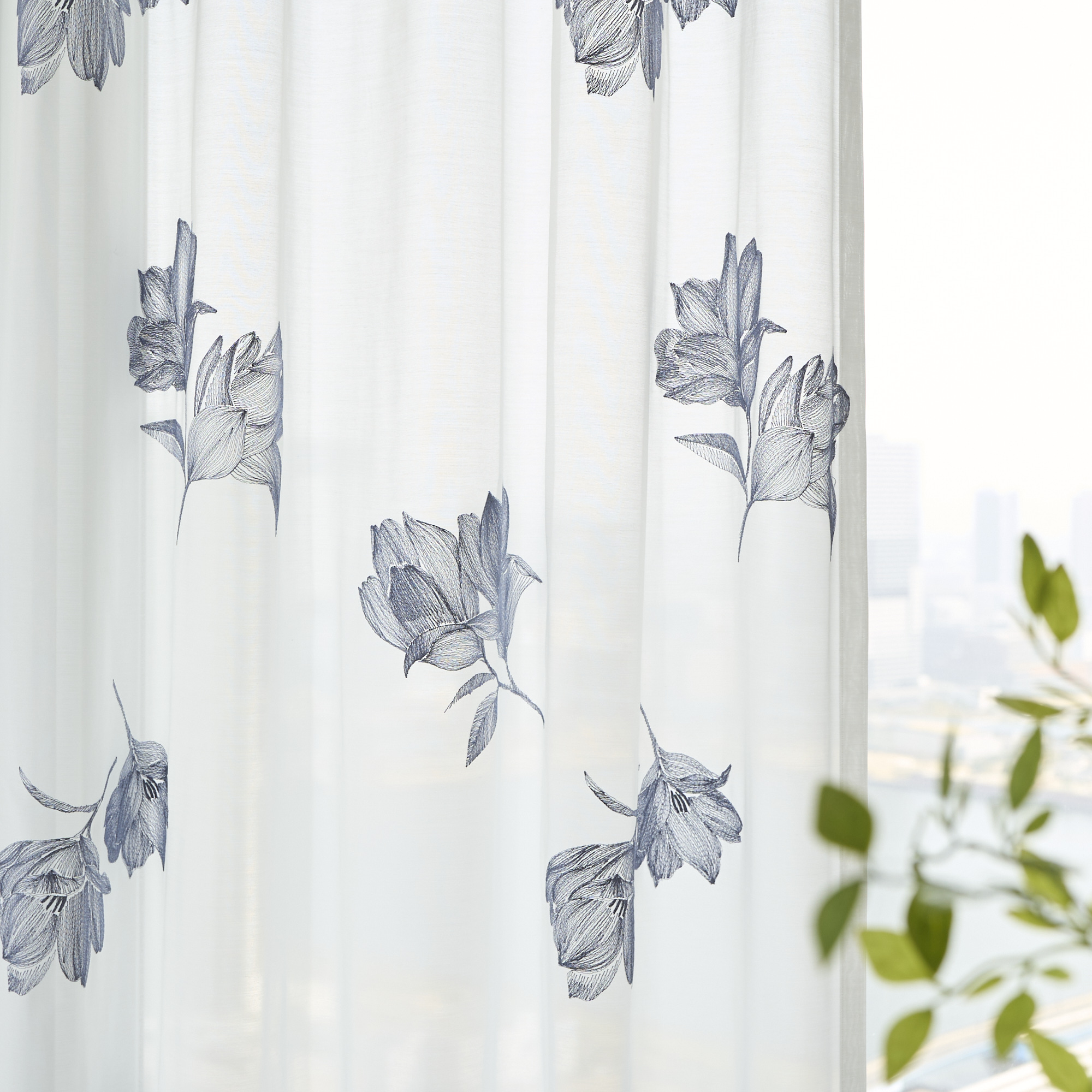 モクレン 商品画像02