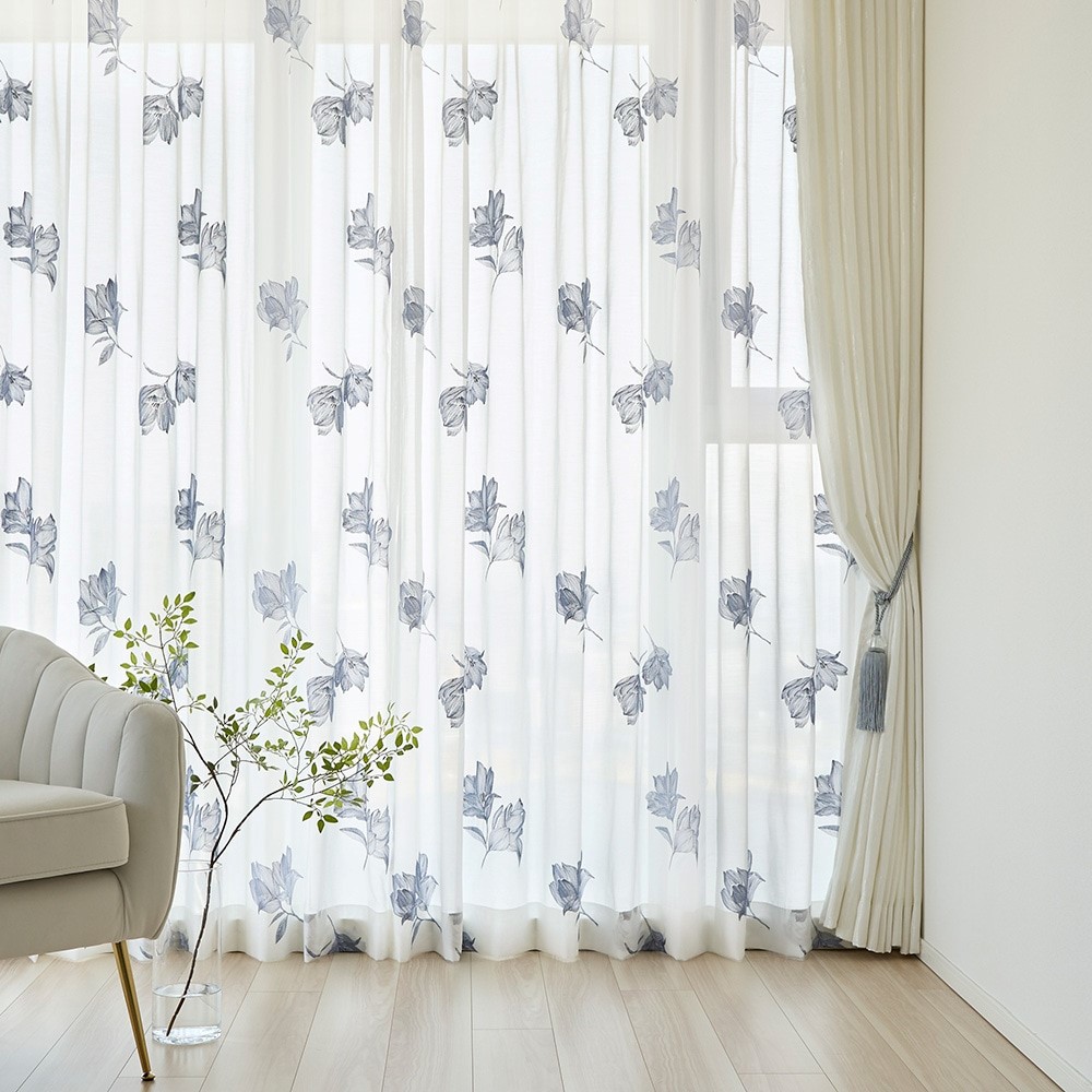 モクレン 商品画像07