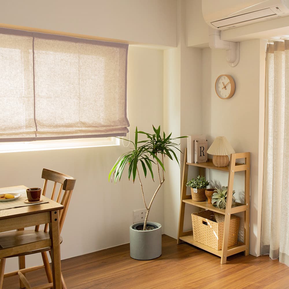 エブリデイ 商品画像04