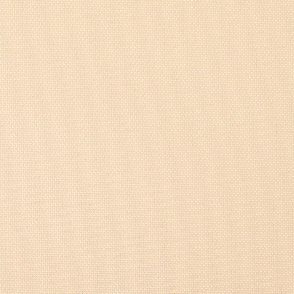 アプリコット(tk_tr_1043)