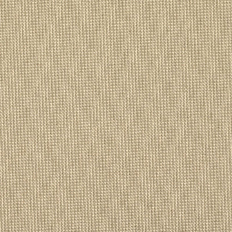 シナモン(tk_tr_1047)